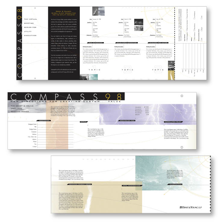 Ernst & Young Utility partners brochure